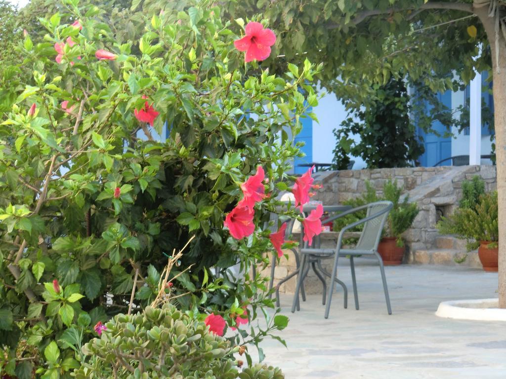 米科诺斯沃尼奧提斯酒店 Mykonos Town 外观 照片