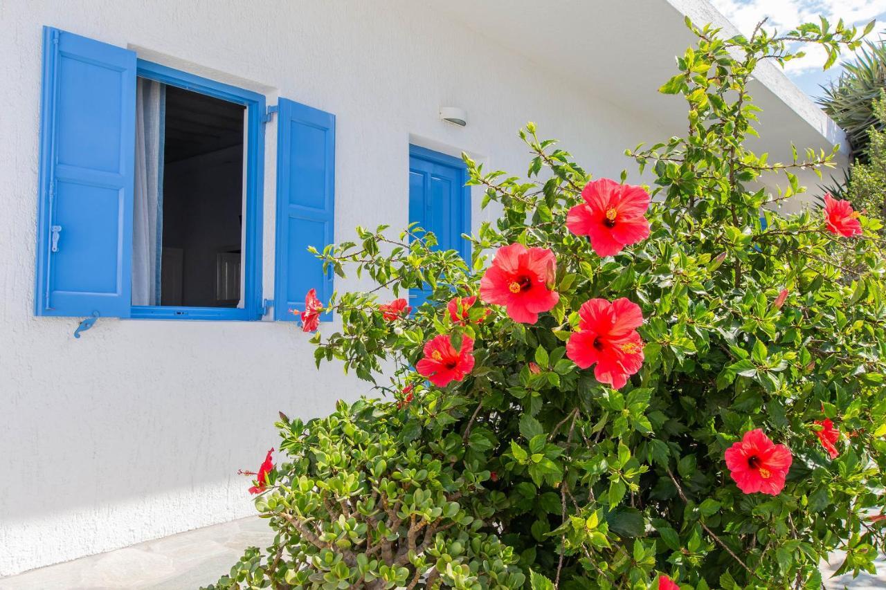 米科诺斯沃尼奧提斯酒店 Mykonos Town 外观 照片